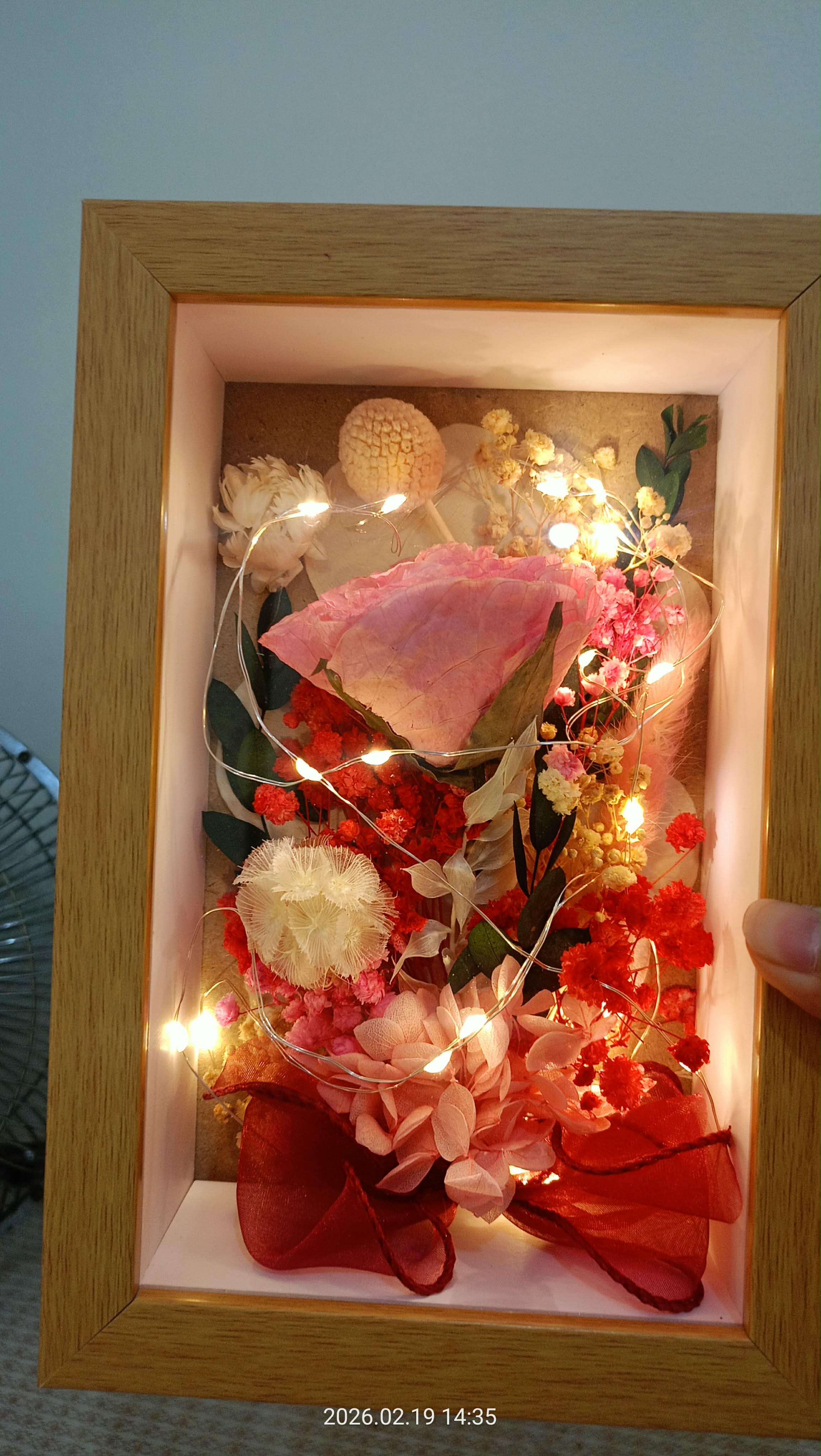 Mixed Dried Flower Craft in Frame (With Lights)